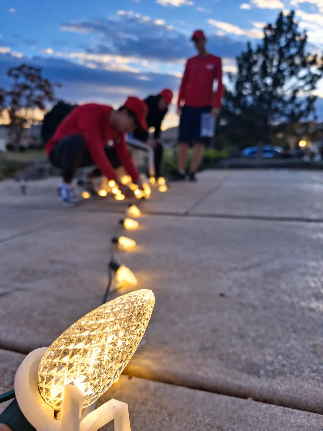 Warm-white C9 bulbs laid out by our crew before installation